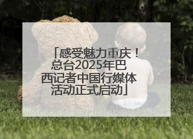 感受魅力重庆！总台2025年巴西记者中国行媒体活动正式启动