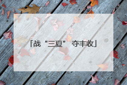 战“三夏” 夺丰收