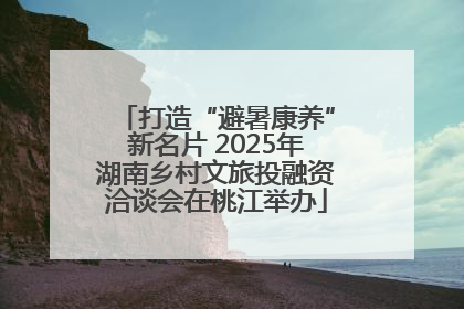 打造“避暑康养”新名片 2025年湖南乡村文旅投融资洽谈会在桃江举办