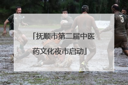抚顺市第二届中医药文化夜市启动