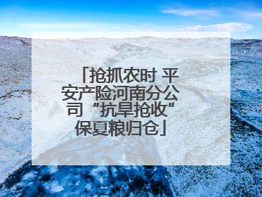 抢抓农时 平安产险河南分公司“抗旱抢收”保夏粮归仓