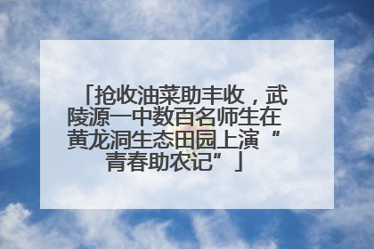 抢收油菜助丰收，武陵源一中数百名师生在黄龙洞生态田园上演“青春助农记”