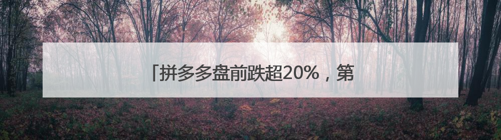 拼多多盘前跌超20%，第一季度净利润下降45%