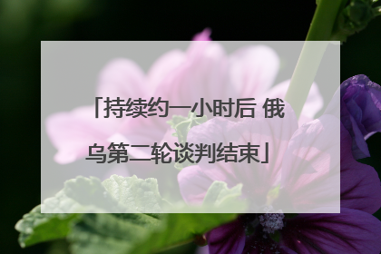 持续约一小时后 俄乌第二轮谈判结束