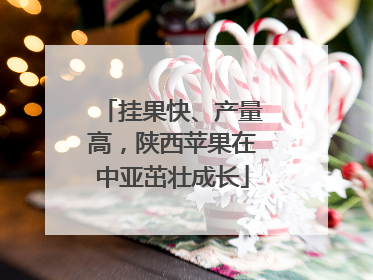 挂果快、产量高，陕西苹果在中亚茁壮成长