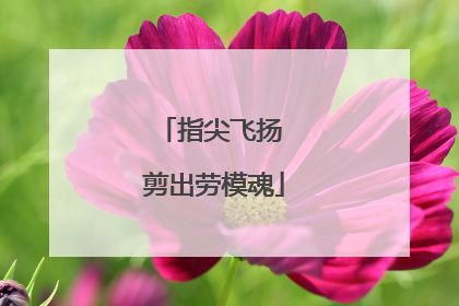 指尖飞扬 剪出劳模魂