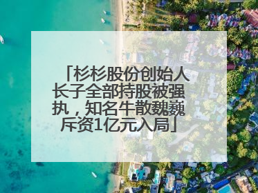 杉杉股份创始人长子全部持股被强执，知名牛散魏巍斥资1亿元入局