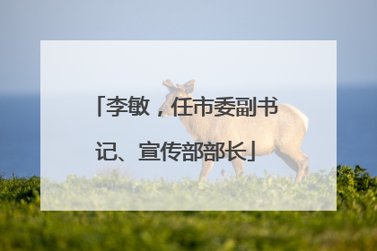 李敏，任市委副书记、宣传部部长