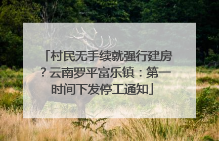 村民无手续就强行建房？云南罗平富乐镇：第一时间下发停工通知
