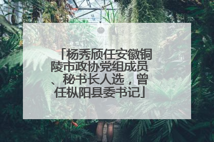 杨秀颀任安徽铜陵市政协党组成员、秘书长人选，曾任枞阳县委书记
