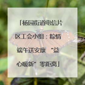 杨园街道电信片区工会小组：粽情端午送安康 “益心暖新”零距离