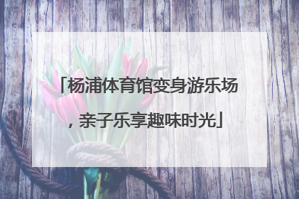 杨浦体育馆变身游乐场，亲子乐享趣味时光
