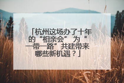 杭州这场办了十年的“相亲会” 为“一带一路”共建带来哪些新机遇？
