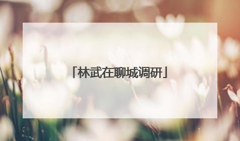 林武在聊城调研