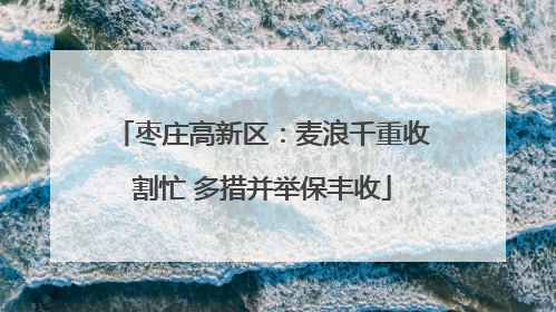 枣庄高新区：麦浪千重收割忙 多措并举保丰收