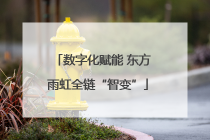 数字化赋能 东方雨虹全链“智变”