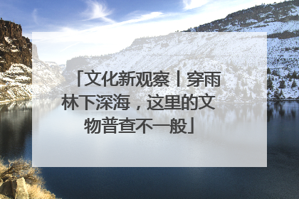 文化新观察丨穿雨林下深海，这里的文物普查不一般