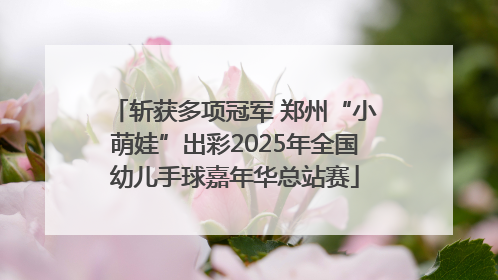 斩获多项冠军 郑州“小萌娃”出彩2025年全国幼儿手球嘉年华总站赛