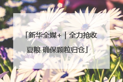 新华全媒+｜全力抢收夏粮 确保颗粒归仓