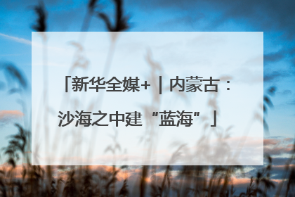 新华全媒+｜内蒙古：沙海之中建“蓝海”