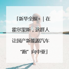 新华全媒+｜在霍尔果斯，这群人让国产新能源汽车“跑”向中亚