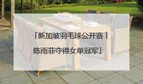 新加坡羽毛球公开赛丨陈雨菲夺得女单冠军