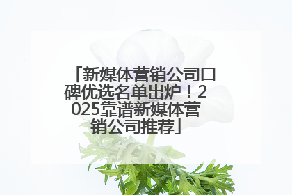新媒体营销公司口碑优选名单出炉！2025靠谱新媒体营销公司推荐