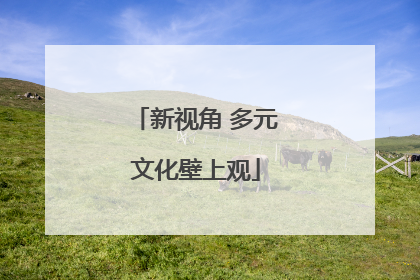 新视角 多元文化壁上观