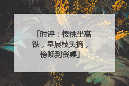 时评：樱桃坐高铁，早晨枝头摘，傍晚到餐桌