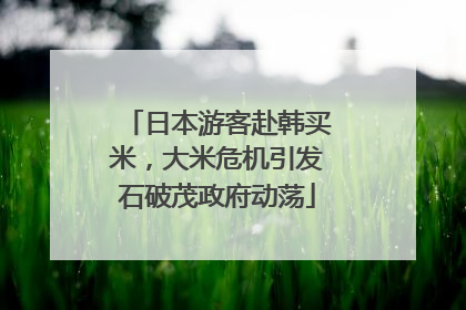 日本游客赴韩买米，大米危机引发石破茂政府动荡