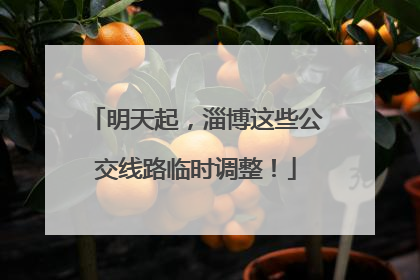 明天起，淄博这些公交线路临时调整！