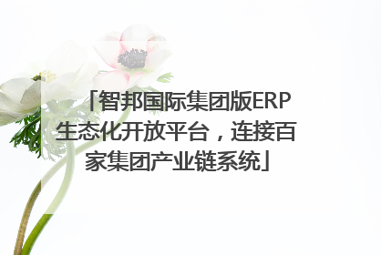 智邦国际集团版ERP生态化开放平台，连接百家集团产业链系统