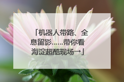 机器人带路、全息留影……带你看海淀超酷现场→