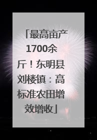 最高亩产1700余斤！东明县刘楼镇：高标准农田增效增收