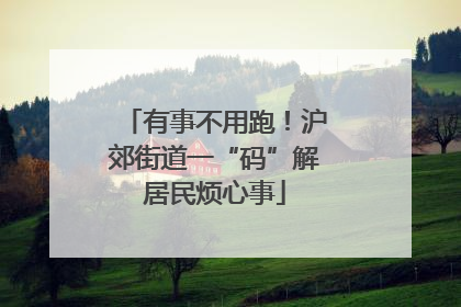 有事不用跑！沪郊街道一“码”解居民烦心事