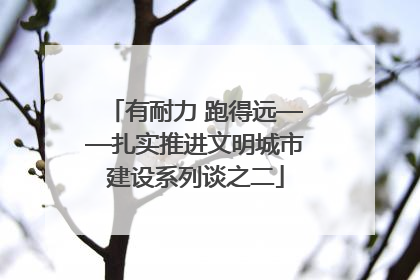 有耐力 跑得远——扎实推进文明城市建设系列谈之二