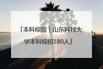 本科综招｜山东科技大学本科综招180人