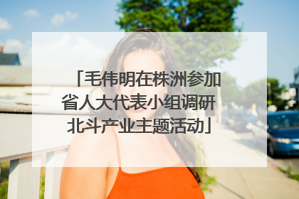 毛伟明在株洲参加省人大代表小组调研北斗产业主题活动