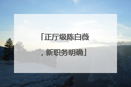 正厅级陈白薇，新职务明确