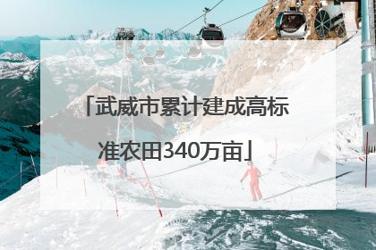 武威市累计建成高标准农田340万亩