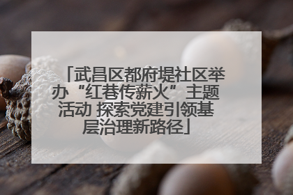 武昌区都府堤社区举办“红巷传薪火”主题活动 探索党建引领基层治理新路径