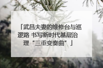 武昌夫妻的维修台与巡逻路 书写新时代基层治理“三重变奏曲”