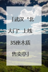 武汉“北大门”上线35座木质售卖亭