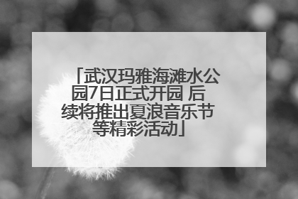武汉玛雅海滩水公园7日正式开园 后续将推出夏浪音乐节等精彩活动