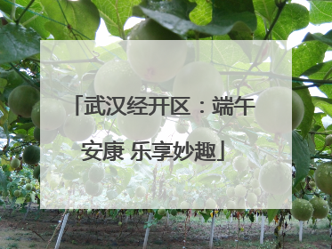 武汉经开区：端午安康 乐享妙趣