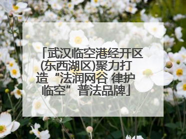武汉临空港经开区(东西湖区)聚力打造“法润网谷 律护临空”普法品牌