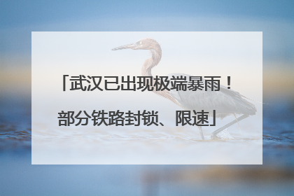 武汉已出现极端暴雨！部分铁路封锁、限速