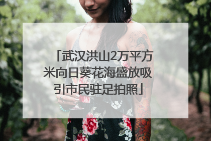 武汉洪山2万平方米向日葵花海盛放吸引市民驻足拍照