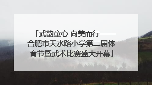 武韵童心 向美而行——合肥市天水路小学第二届体育节暨武术比赛盛大开幕