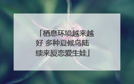 栖息环境越来越好 多种夏候鸟陆续来厦恋爱生娃